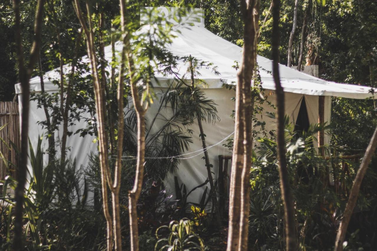 Apartmán Huaya Camp Playa del Carmen Exteriér fotografie